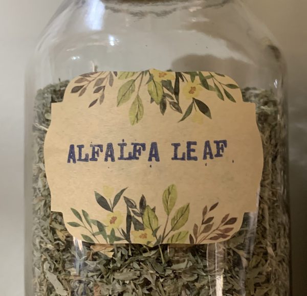 Alfalfa Leaf