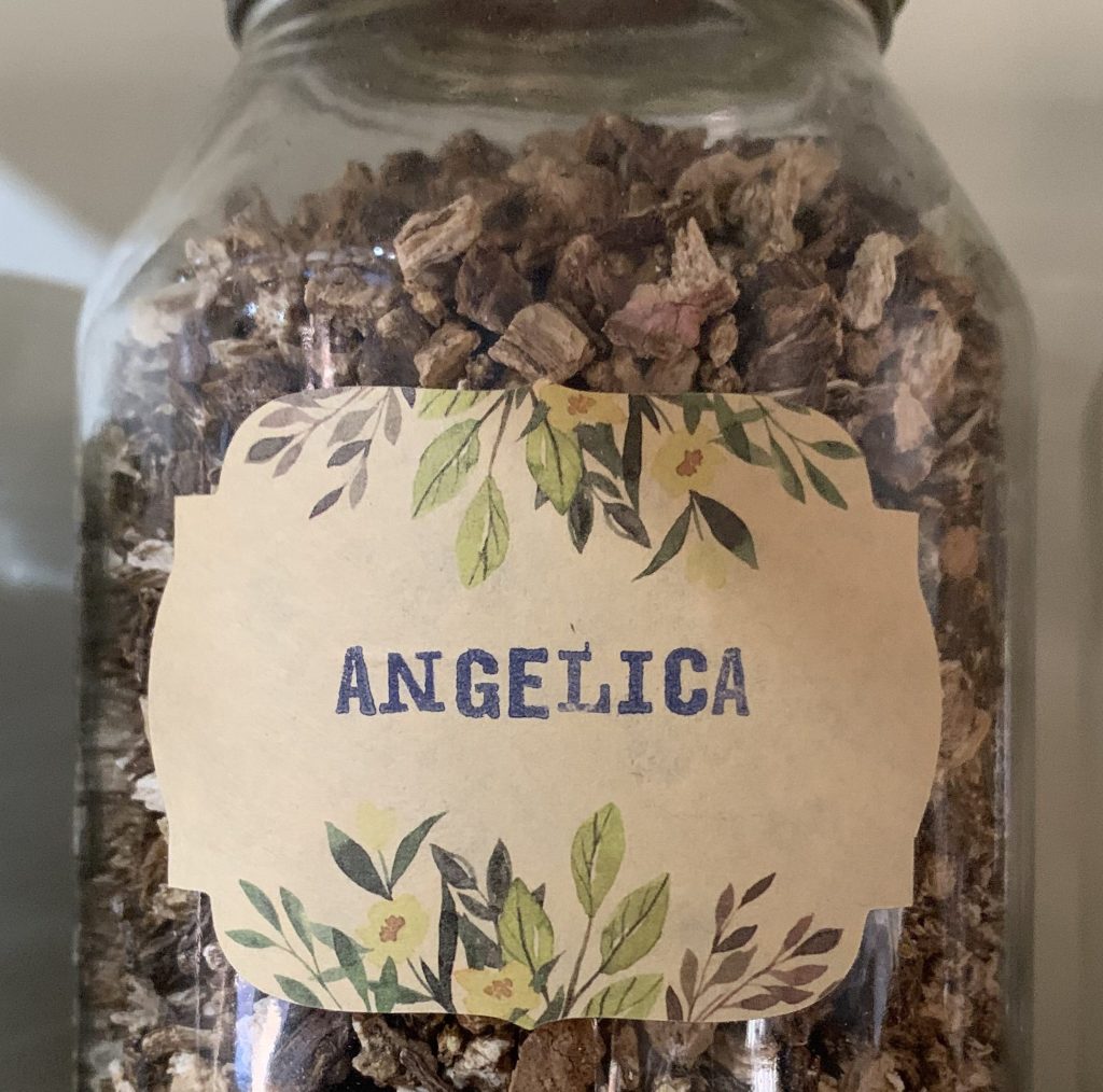 Angelica Root