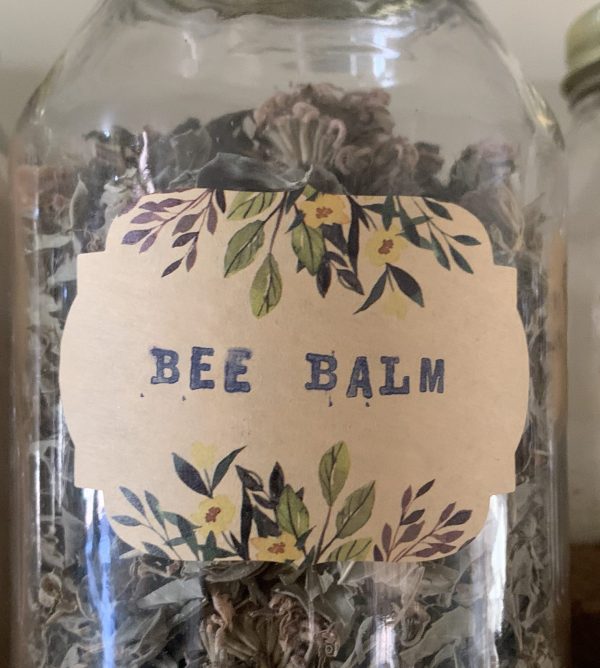 Bee Balm