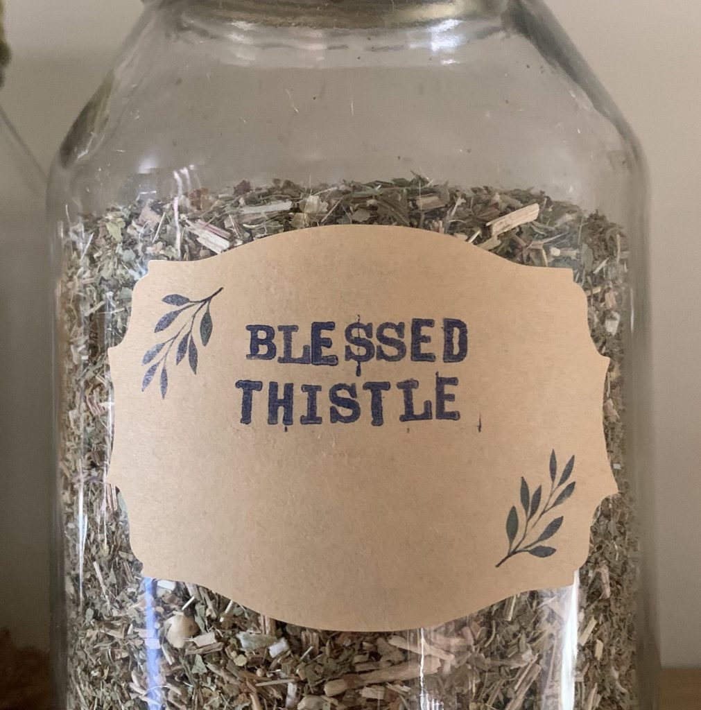 Blessed Thistle