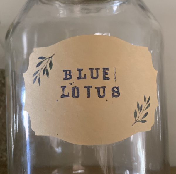 Blue Lotus