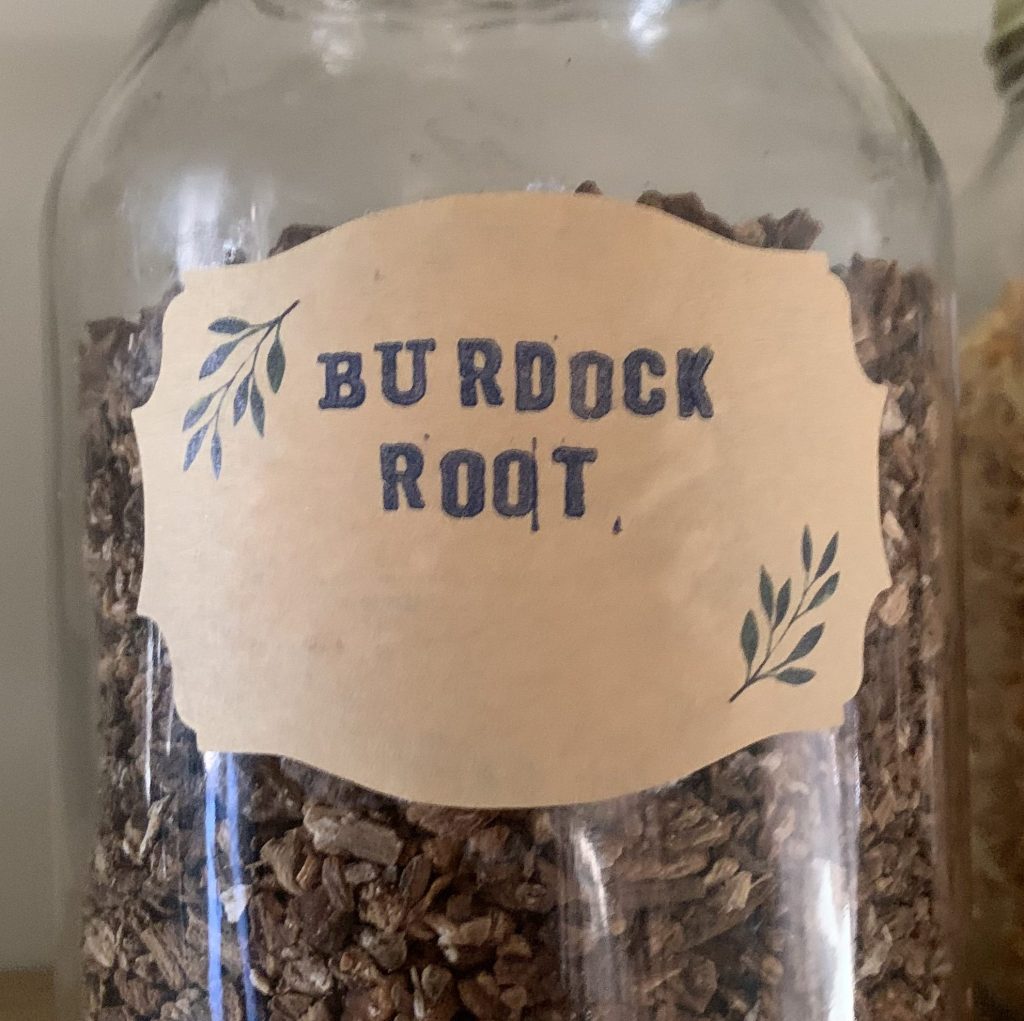 Burdock Root