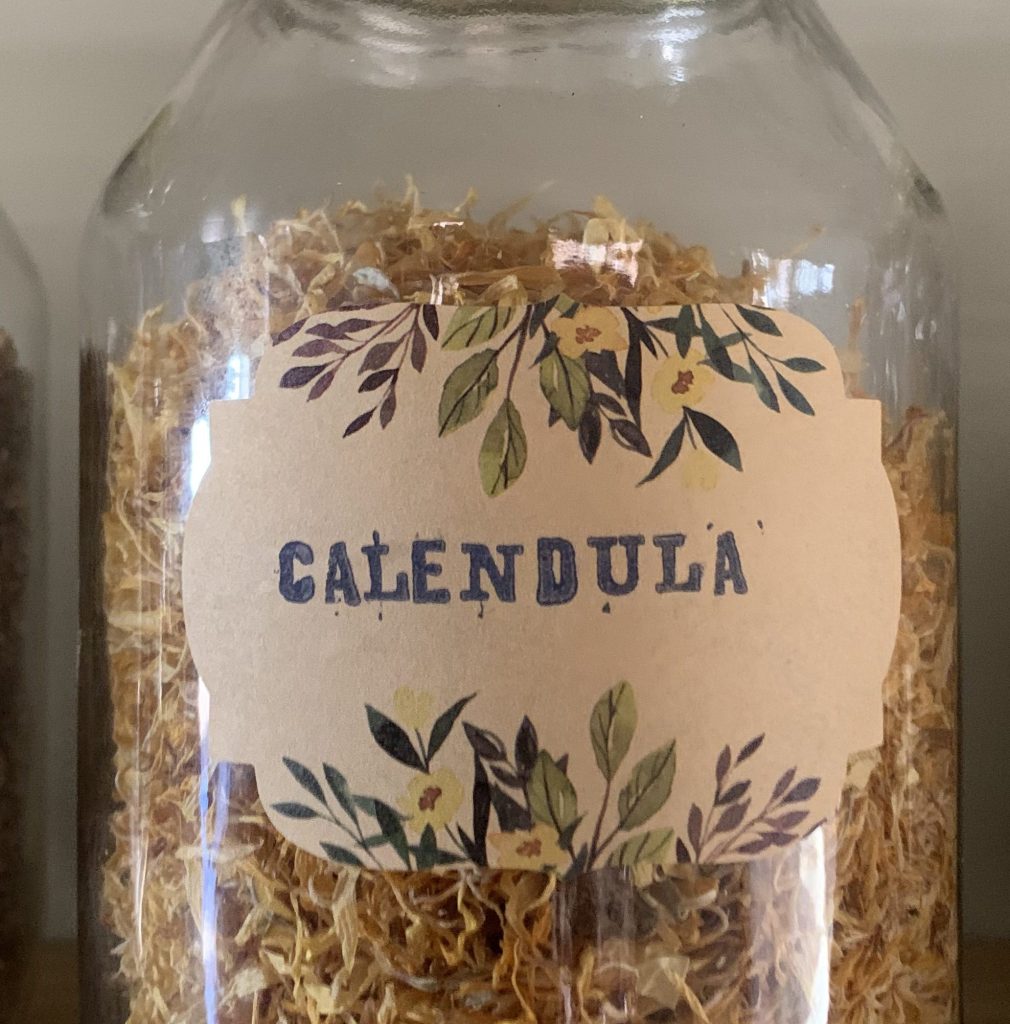 Calendula