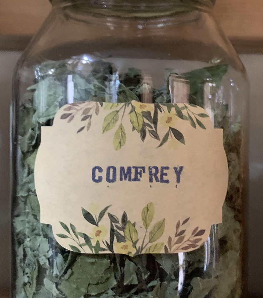 Comfrey