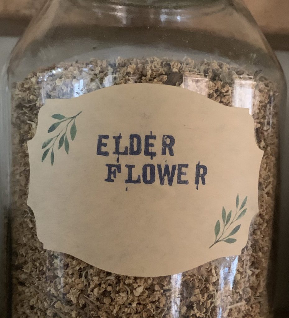 Elder Flower