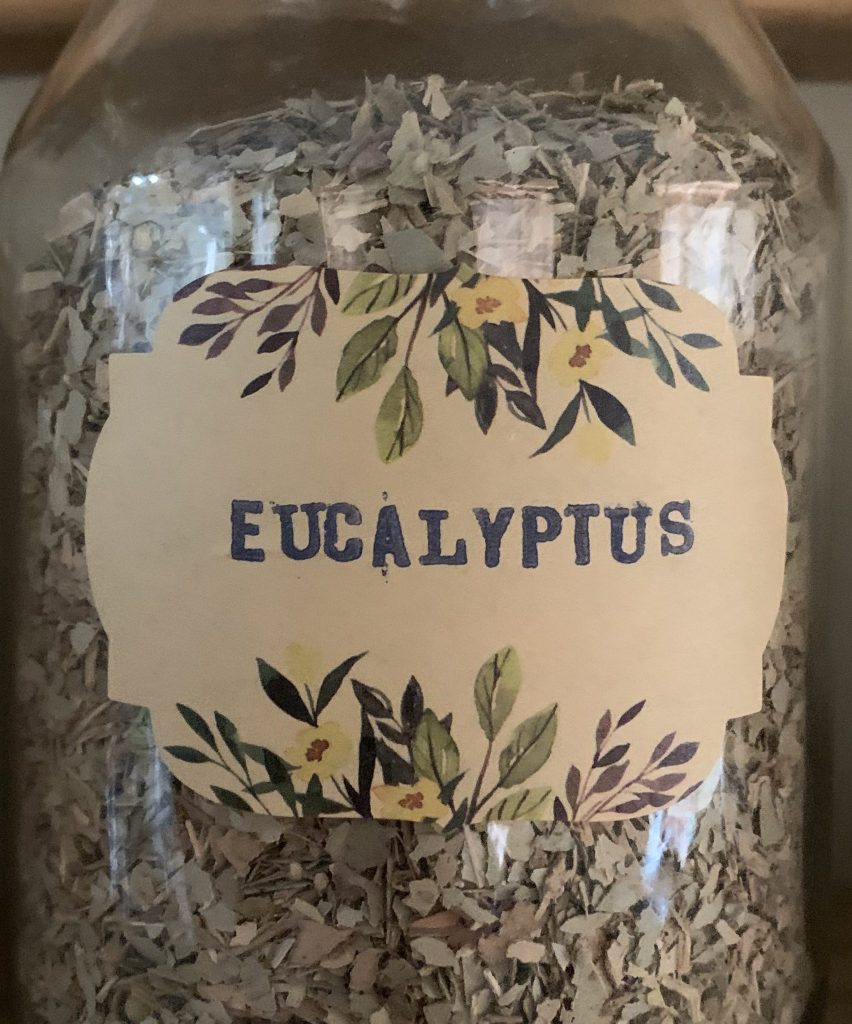 Eucalyptus