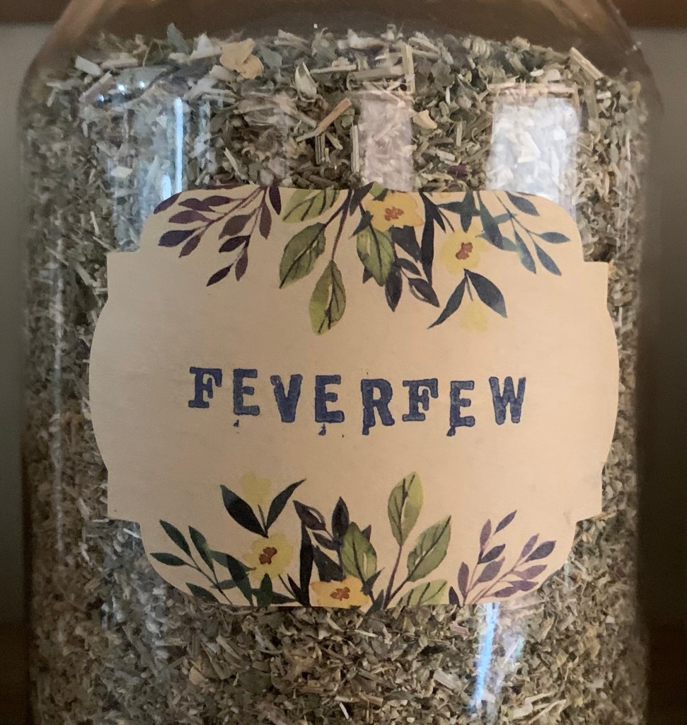 Feverfew