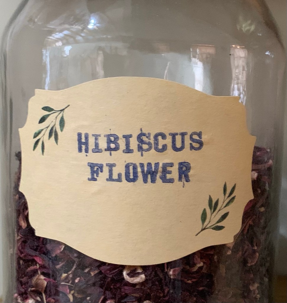Hibiscus Flower