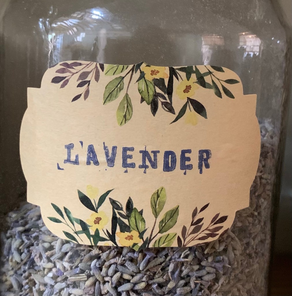 Lavender