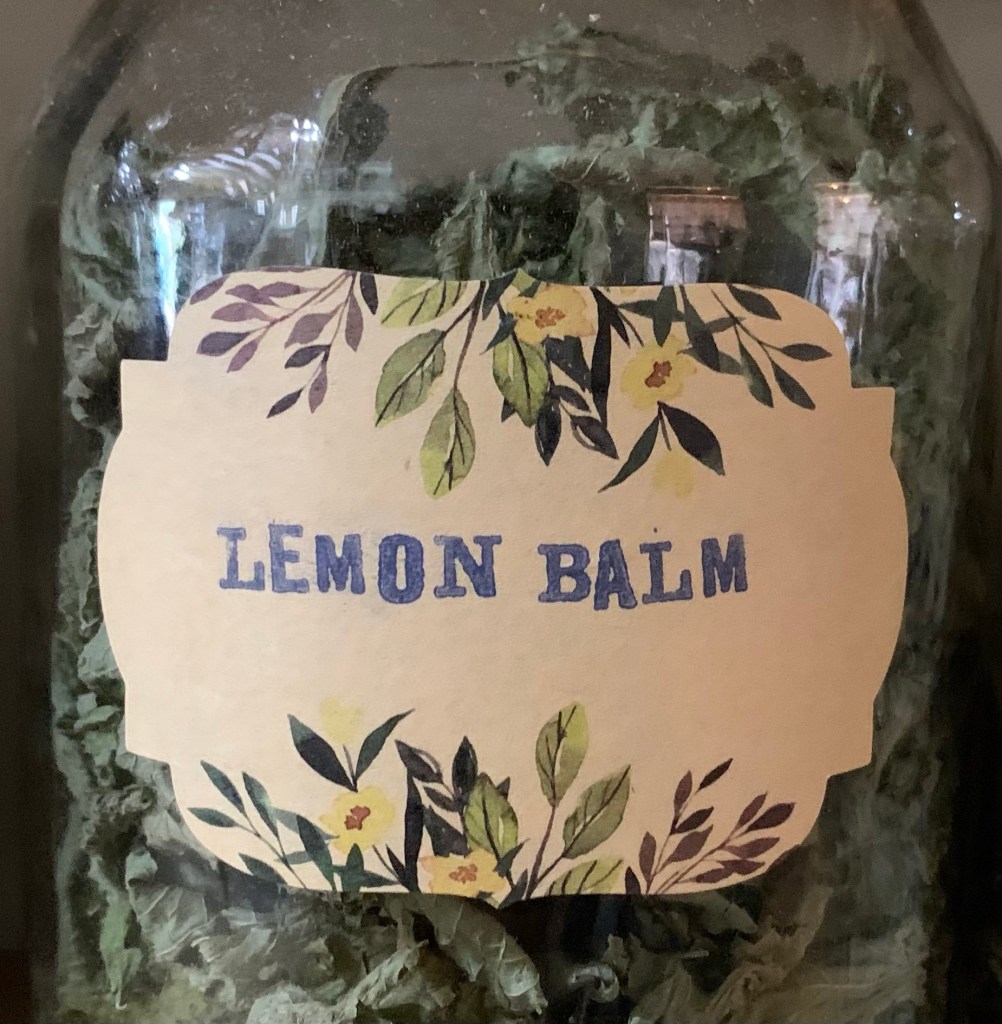 Lemon Balm