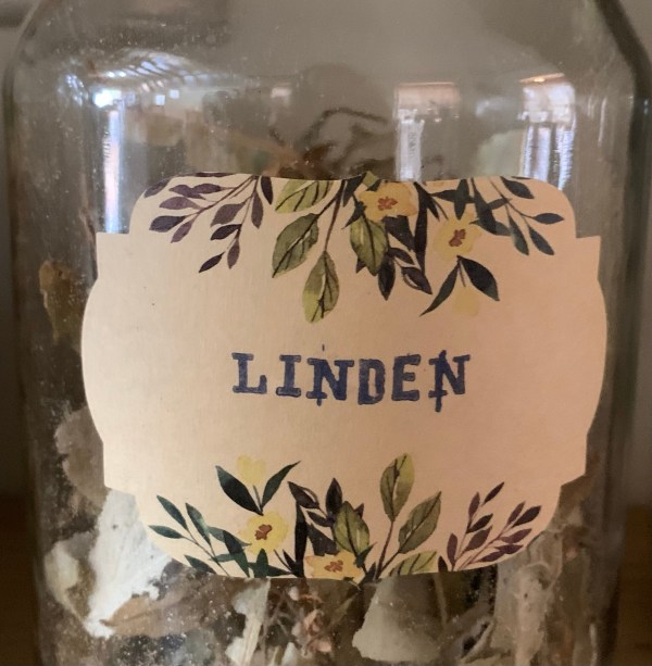 Linden