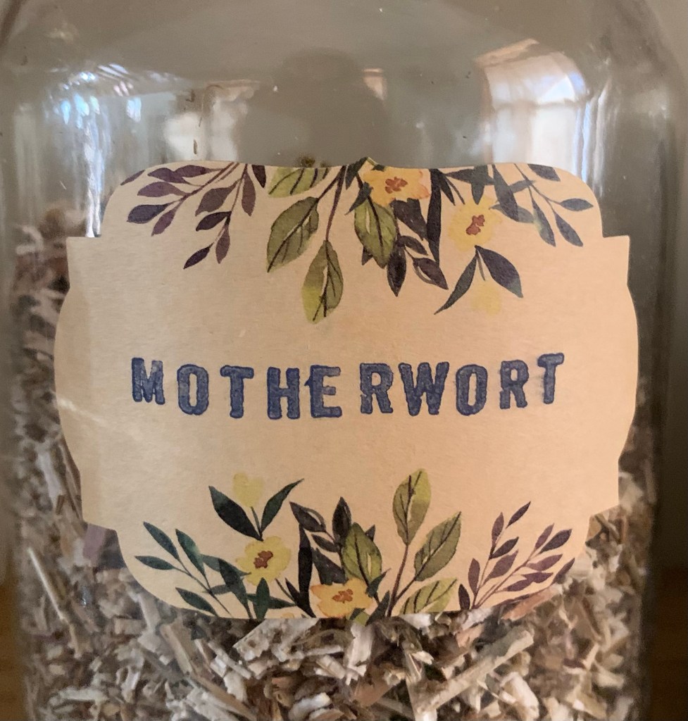 Motherwort