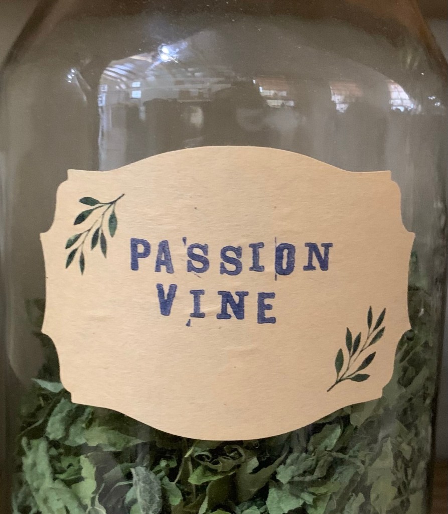 Passion Vine