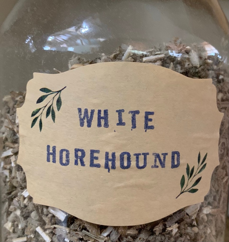 White Horehound