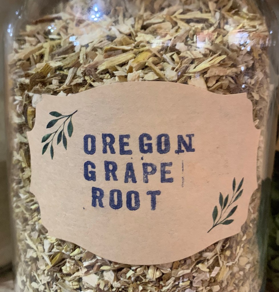 Oregon Grape