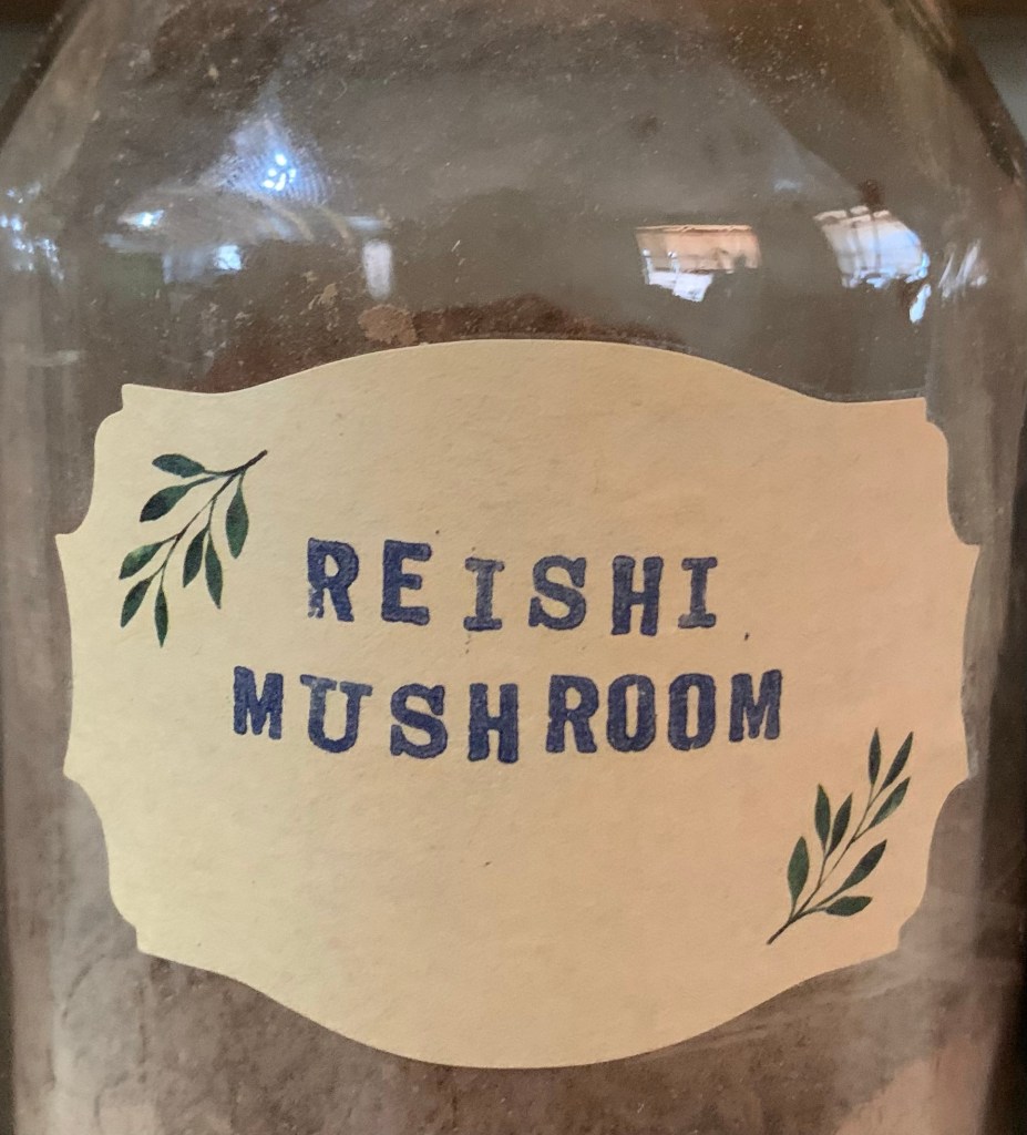 Reishi Mushroom